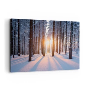 Quadro su tela - Stampe su Tela - Foresta invernale illuminata dai raggi del sole - 100x70cm - Decisamente nero su bianco - Decorazione murale moderna per soggiorno e camera da letto ARTTOR