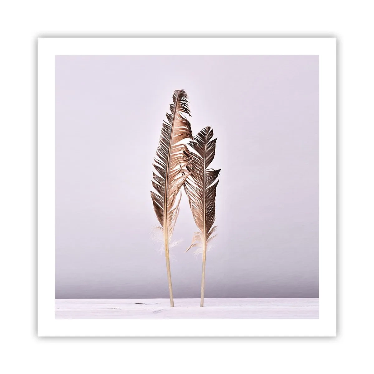 Poster - Contro il nulla - 60x60 cm