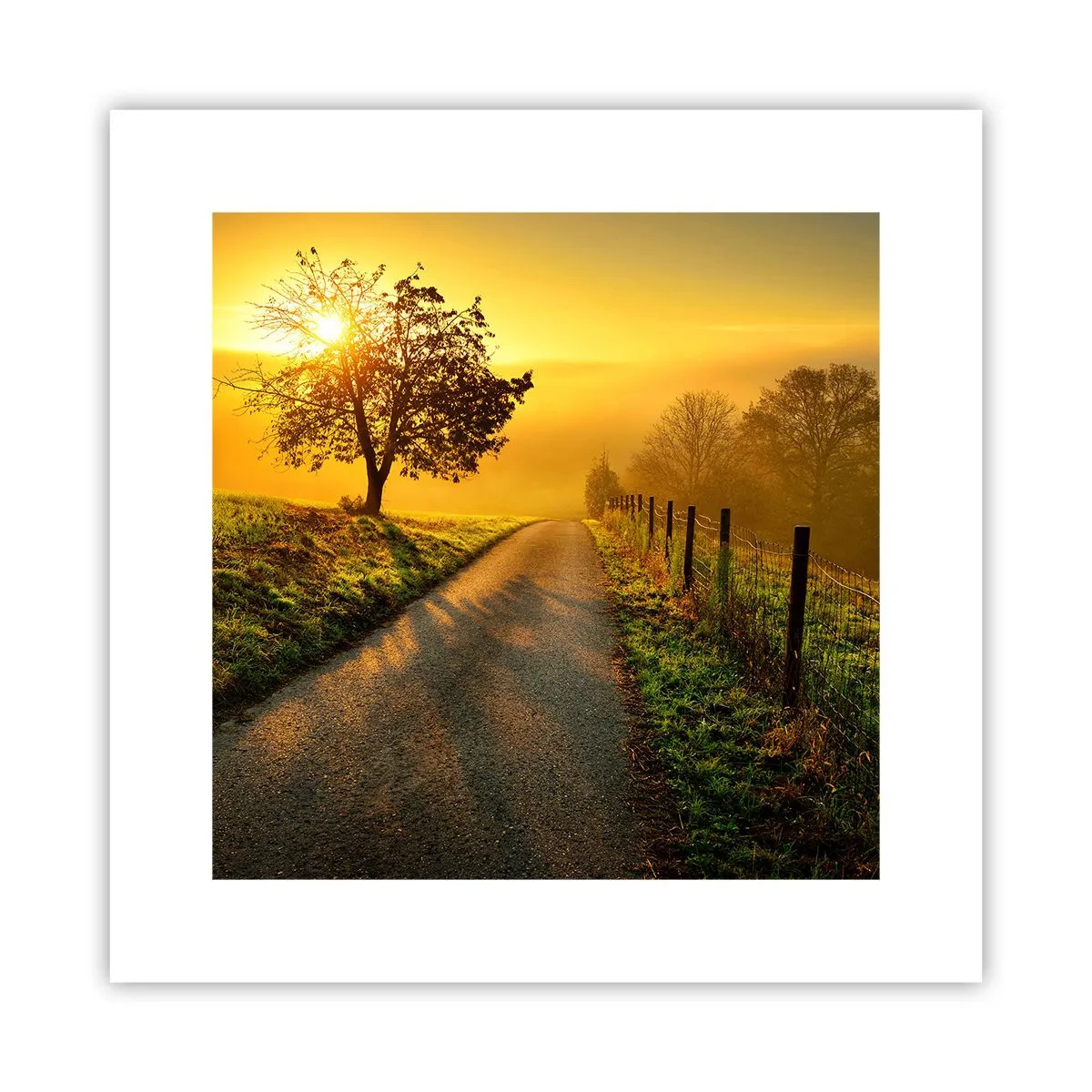 Poster - Pomeriggio di miele - 30x30 cm