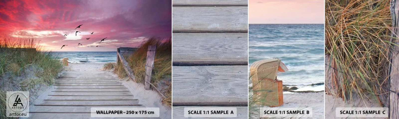 Campione di Fotomurale Adesivo Deluxe Sticker - Impressioni baltiche - Paesaggio marino, Spiaggia, Uccelli - 100x30 cm