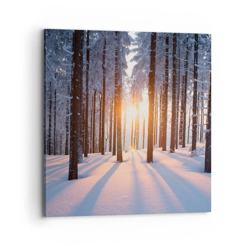 Quadro su tela - Stampe su Tela - Decisamente nero su bianco - 70x70 cm