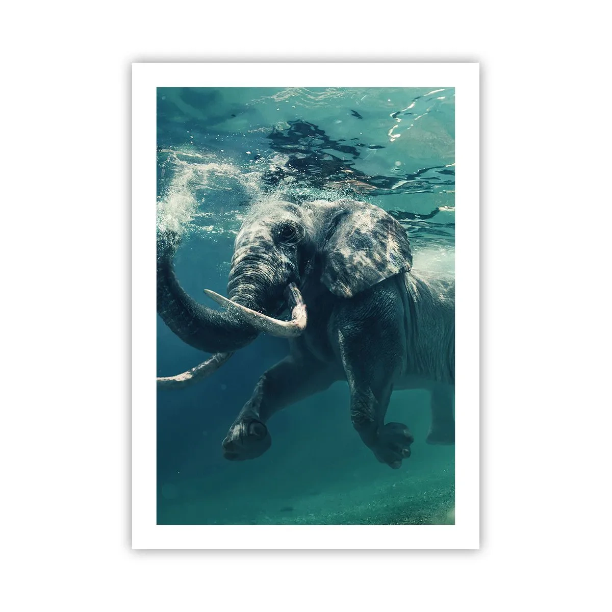 Poster - Un elefante che nuota nell'acqua turchese - 50x70cm - Tutti amano nuotare - Decorazione murale moderna per soggiorno e camera da letto ARTTOR