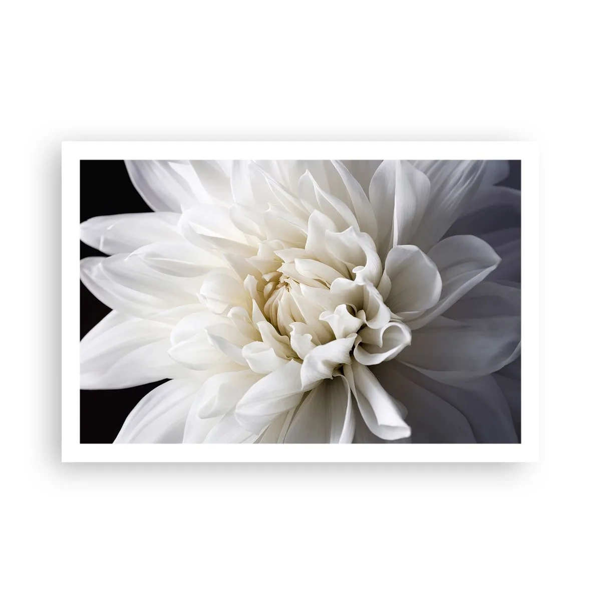 Poster - Il mattino della sposa - 91x61 cm