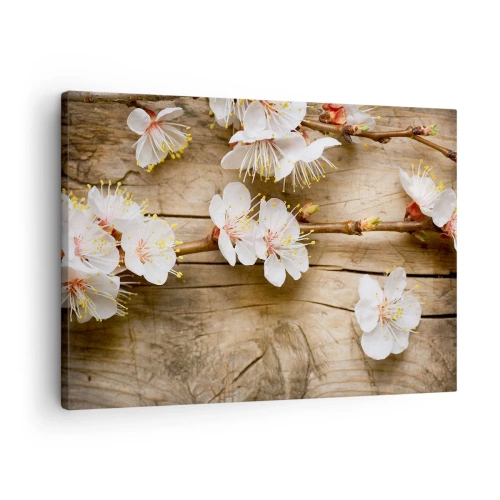 Quadro su tela - Stampe su Tela - Rami di ciliegi in fiore su uno sfondo di tavola di legno - 70x50cm - Ed è giunta la primavera - Decorazione murale moderna per soggiorno e camera da letto ARTTOR