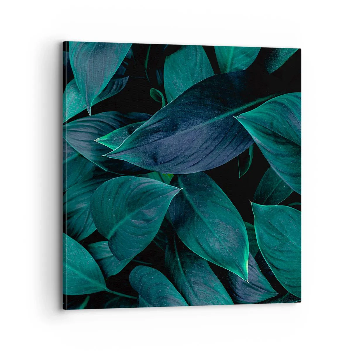 Quadro su tela - Stampe su Tela - Il verde puro - 70x70 cm