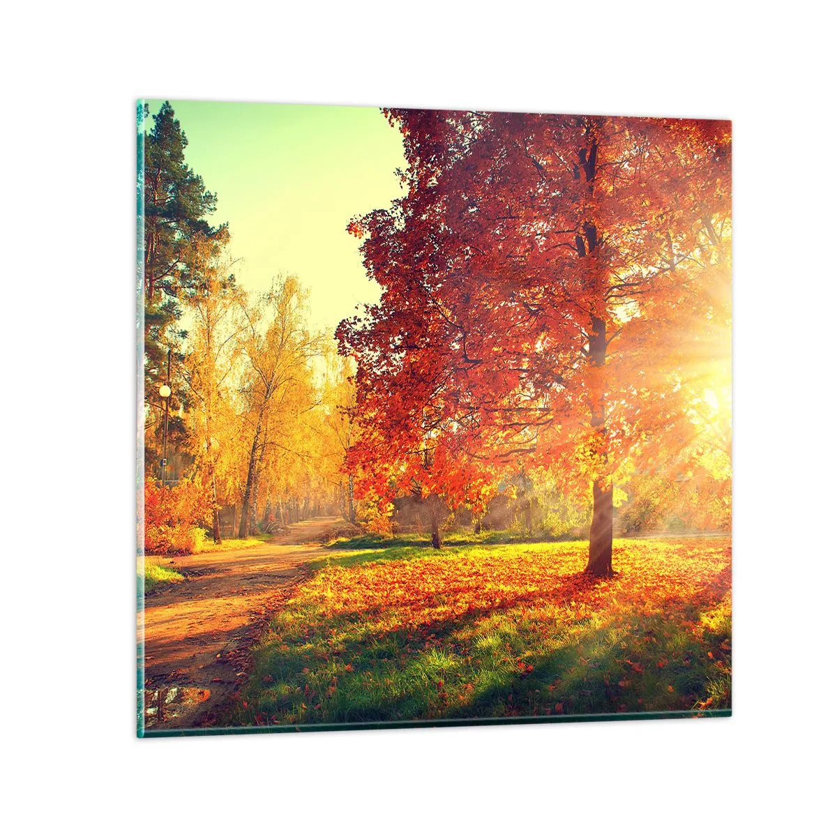 Quadro su vetro - Rosso è bello - 60x60 cm