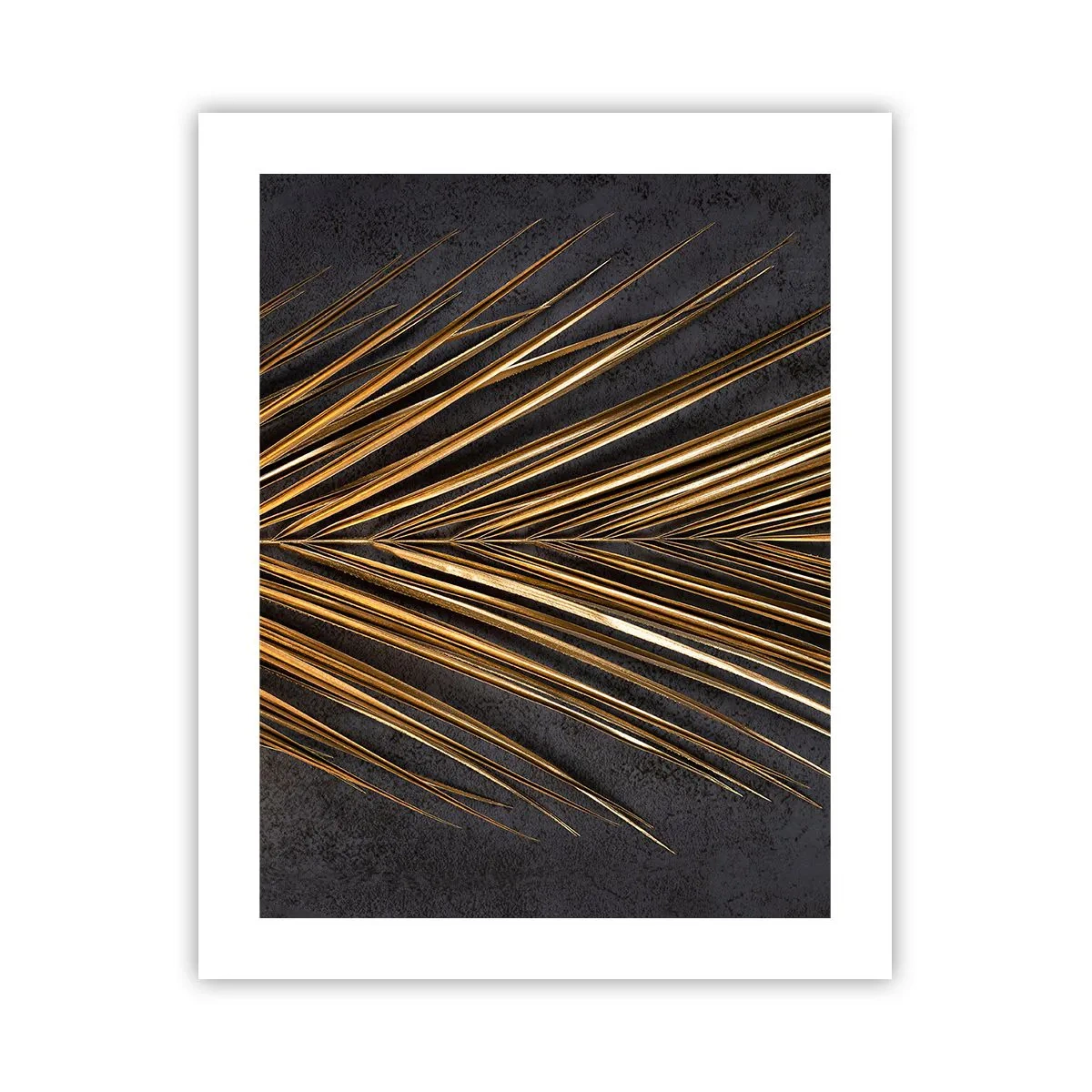 Poster - L'oro dei tropici - 40x50 cm