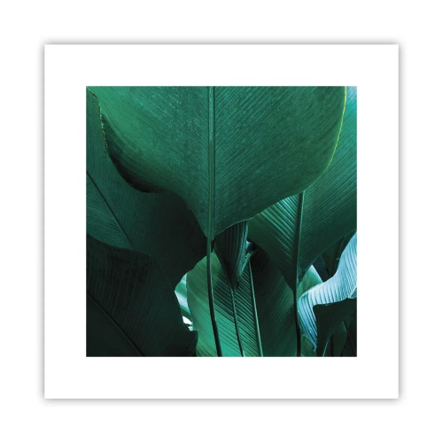 Poster - Verso la luce - 30x30 cm