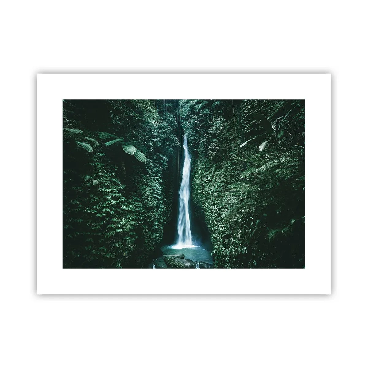 Poster - Terme tropicali - 40x30 cm