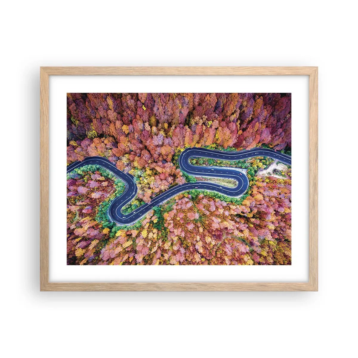 Poster in cornice rovere chiaro - Via tortuosa attraverso il bosco - 50x40 cm