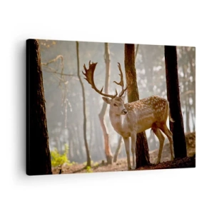 Quadro su tela - Stampe su Tela - Cervi nella foresta nella nebbia mattutina - 70x50cm - La luce della giovinezza - Decorazione murale moderna per soggiorno e camera da letto ARTTOR