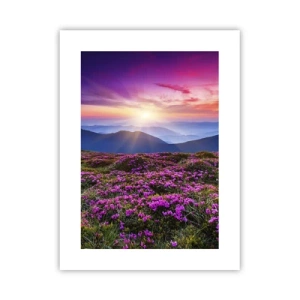 Poster - Il profumo dei fiori freschi del campo - 30x40 cm