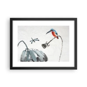 Poster in cornice nera - La vita del prato - 40x30 cm