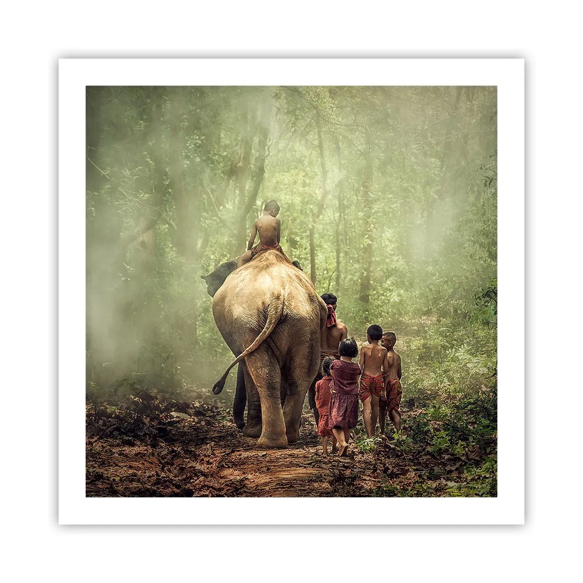 Poster - Il nuovo Libro della Giungla - 60x60 cm