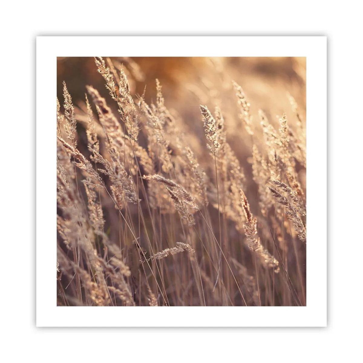 Poster - Pronti a salutare l'autunno - 50x50 cm