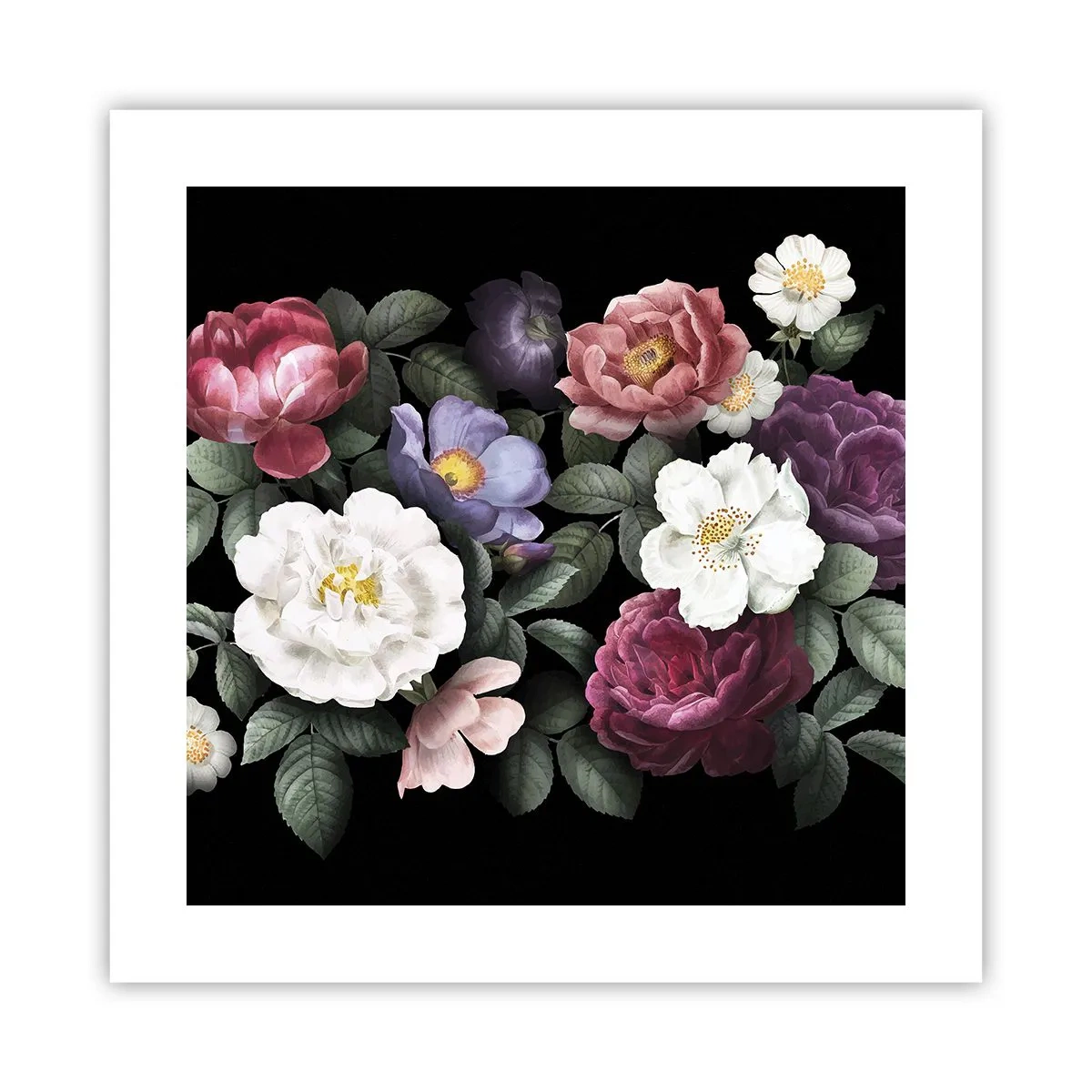 Poster - Dal giardino inglese - 40x40 cm