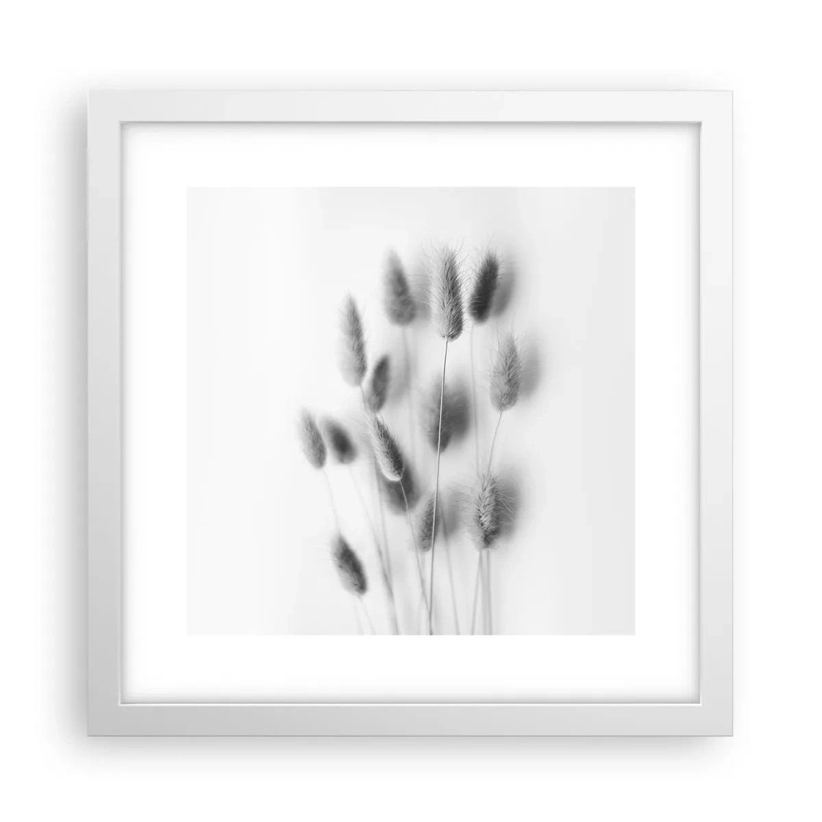 Poster in cornice bianca - Erba soffice - 30x30 cm