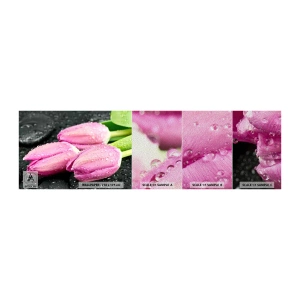 Campione di Fotomurale Premium Sand - Una terna lilla su pietra nera - Fiori, Tulipani, Mazzo di fiori - 100x30 cm