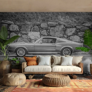 Fotomurali Premium Sand - La leggenda degli anni '60 - Macchina vintage, Settore automobilistico, Auto sportiva - 300x210 cm