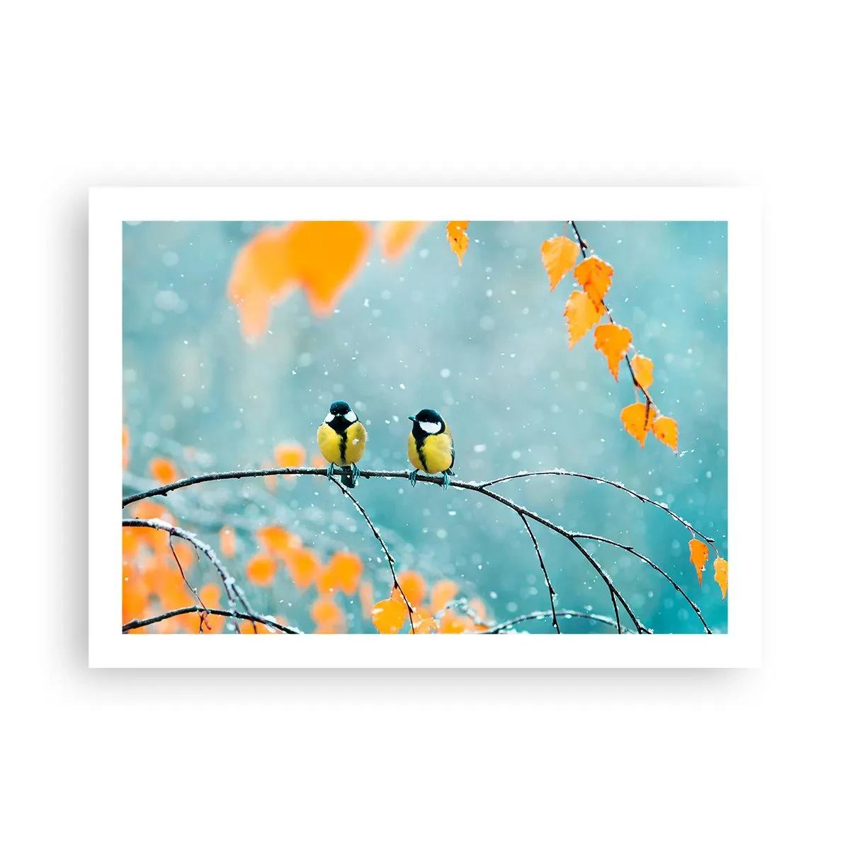 Poster - Pettegolezzi alati - 70x50 cm