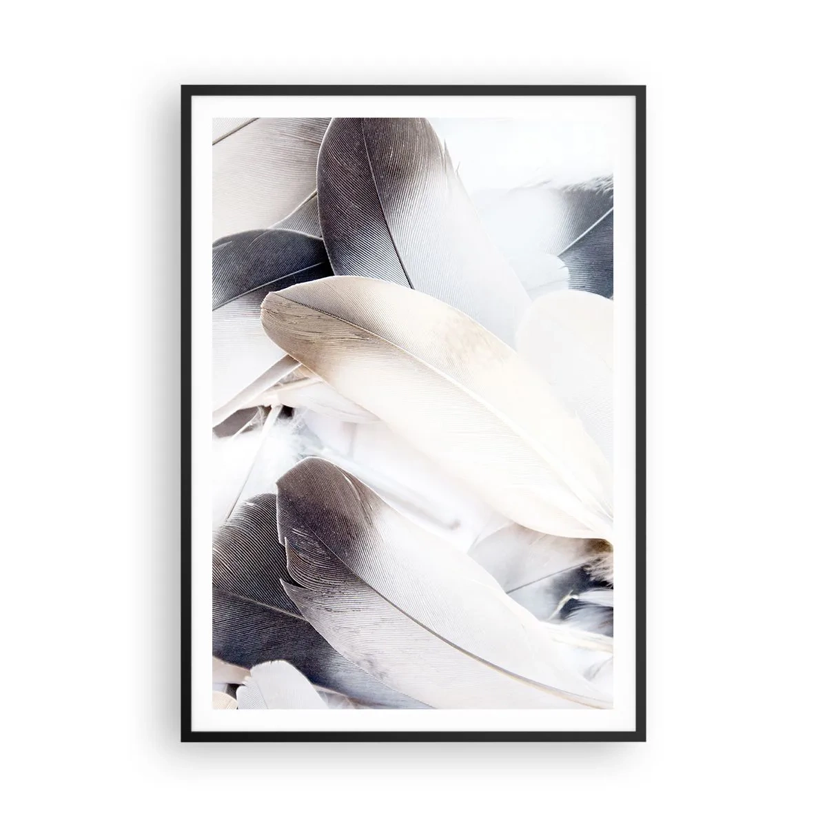 Poster in cornice nera - Quasi angeliche - 70x100 cm