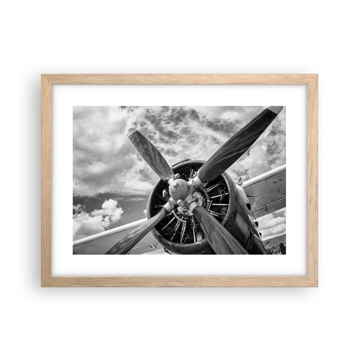 Poster in cornice rovere chiaro - Il dominatore dell'aria - 40x30 cm