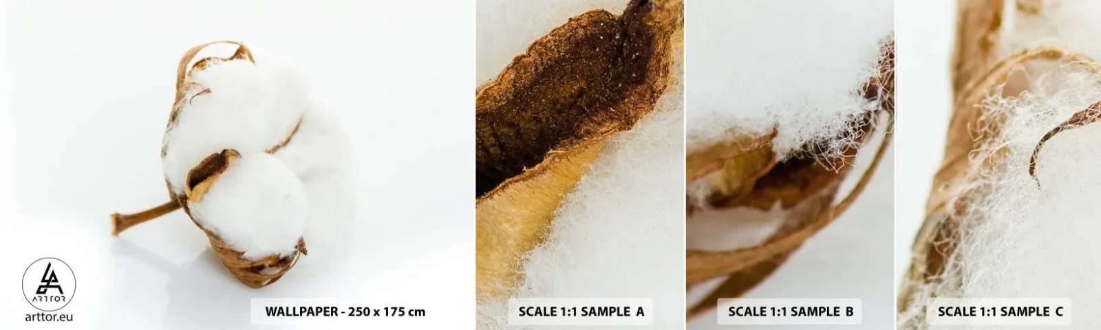 Campione Di Fotomurale Standard Eco - Naturalmente morbido - cotone, Minimalista, Fiore - 100x30 cm