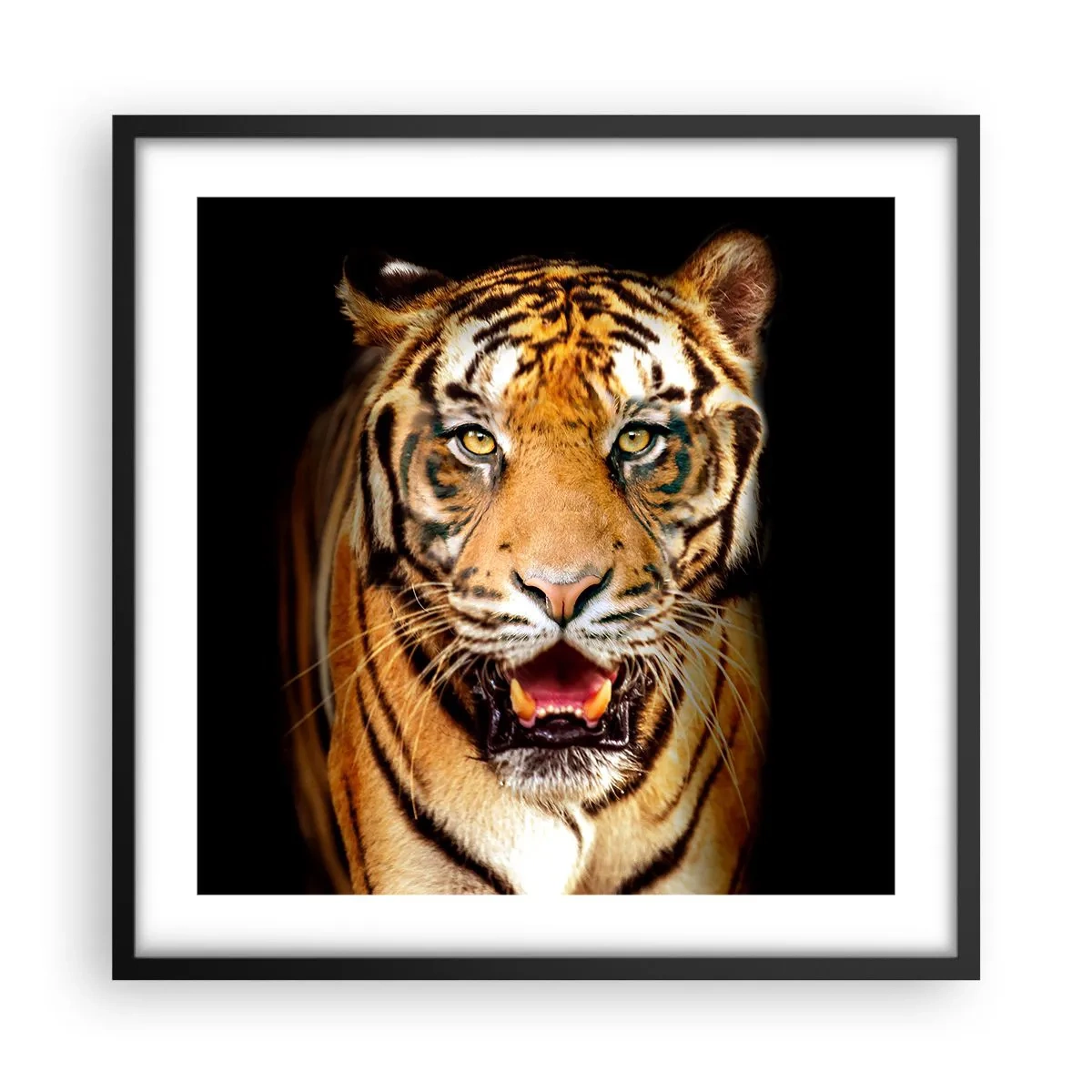 Poster in cornice nera - Cuore selvatico - 50x50 cm