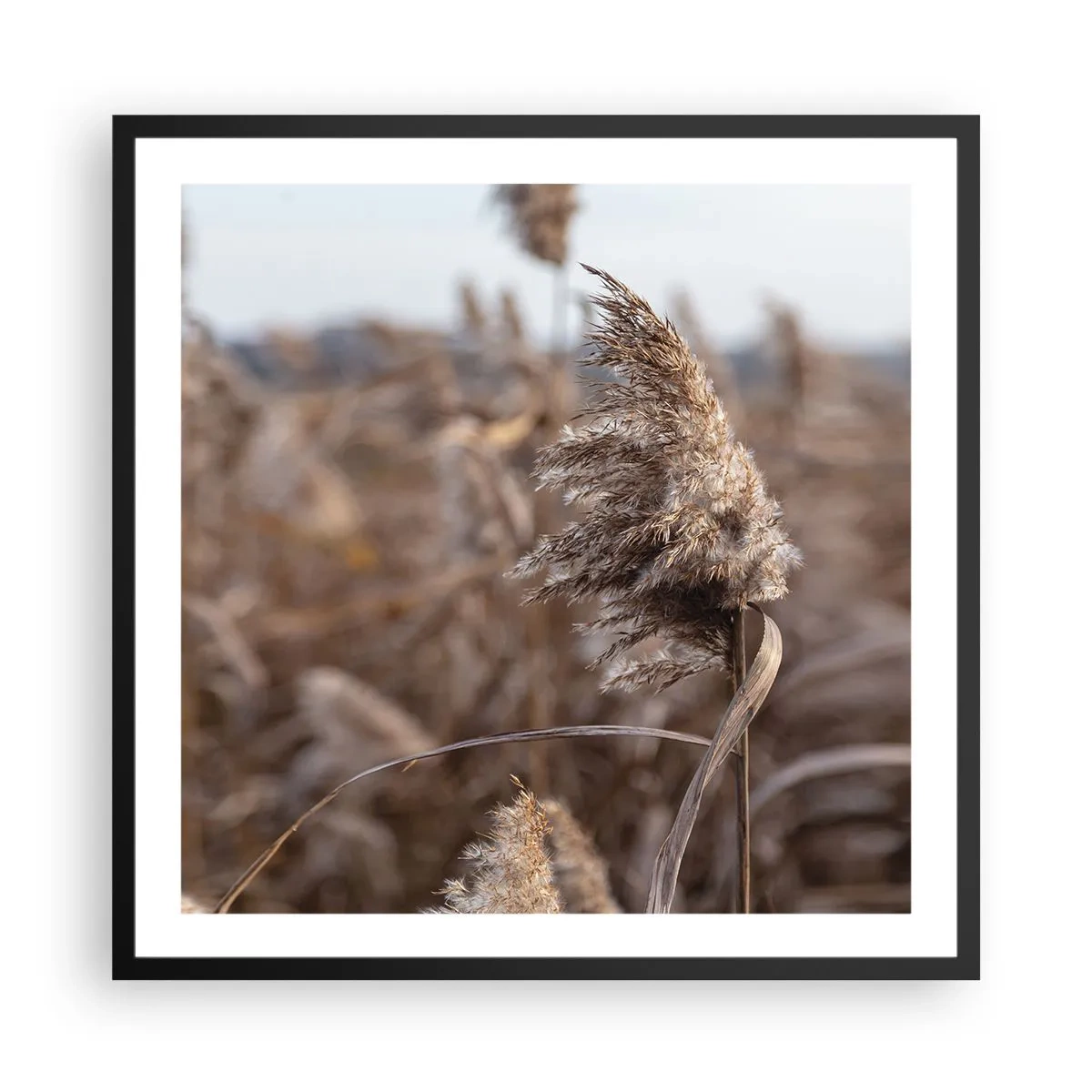 Poster in cornice nera - è tempo di volare col vento - 60x60 cm