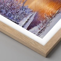 Rovere chiaro