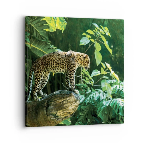 Quadro su tela - Stampe su Tela - A caccia? - 30x30 cm