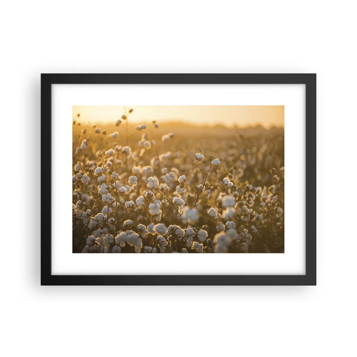 Poster in cornice nera - Campo di morbidezza - 40x30 cm