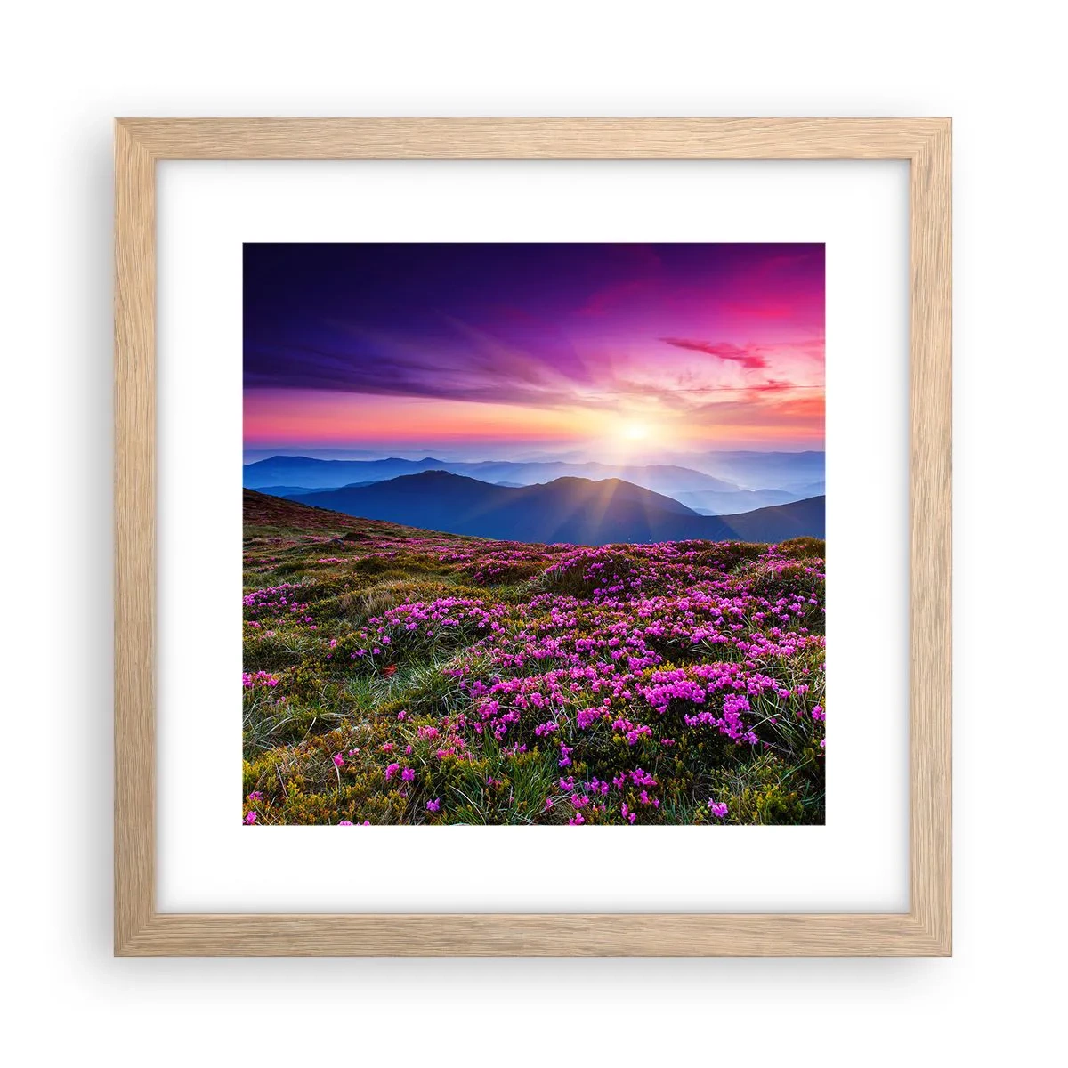 Poster in cornice rovere chiaro - Il profumo dei fiori freschi del campo - 30x30 cm