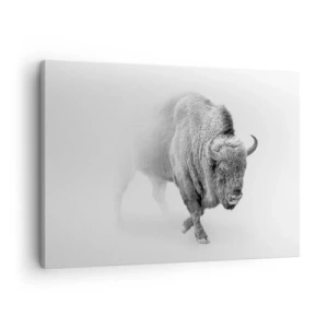 Quadro su tela - Stampe su Tela - Bisonte bianco in un ambiente minimalista - 70x50cm - Il re della prateria - Decorazione murale moderna per soggiorno e camera da letto ARTTOR