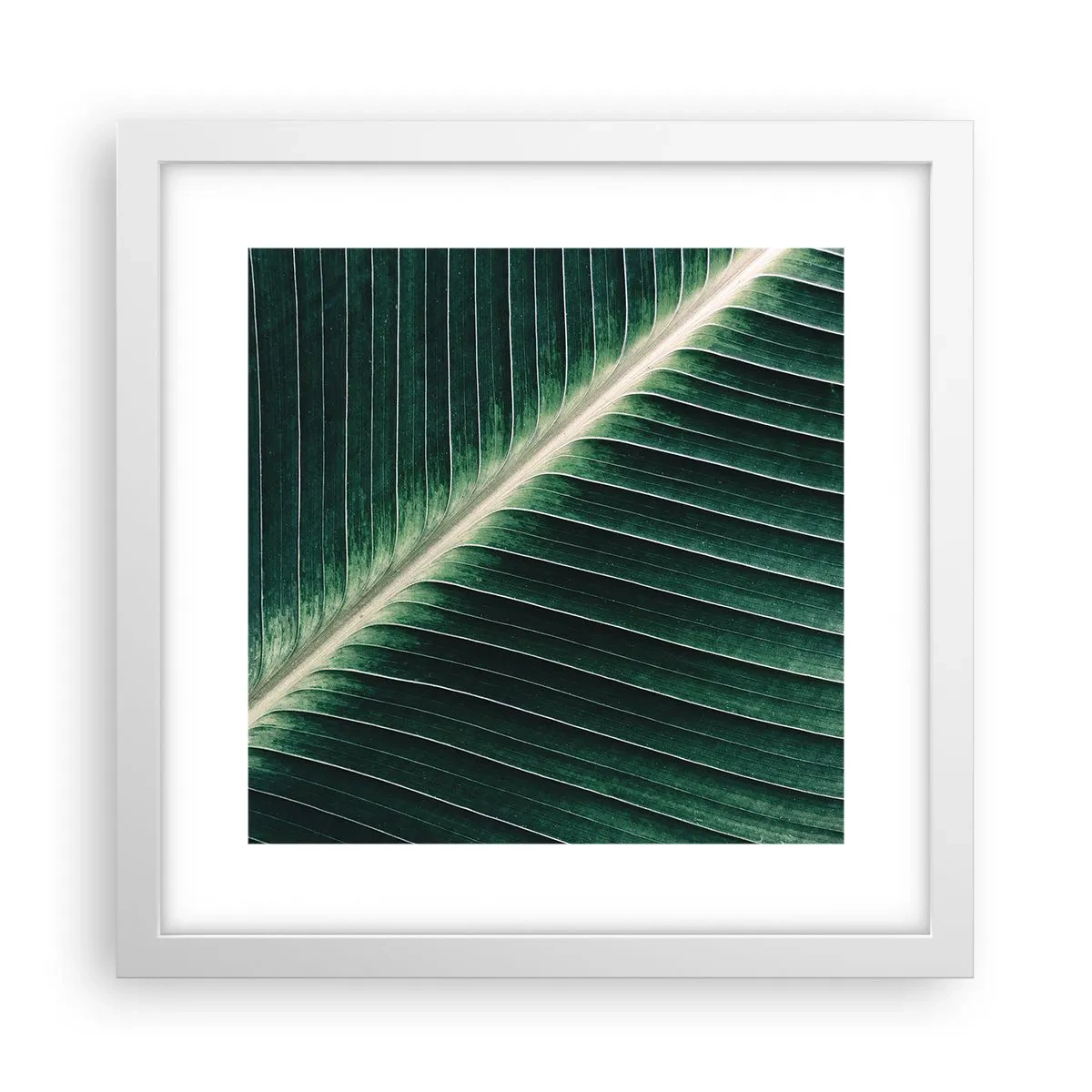 Poster in cornice bianca - Il ritmo della natura - 30x30 cm