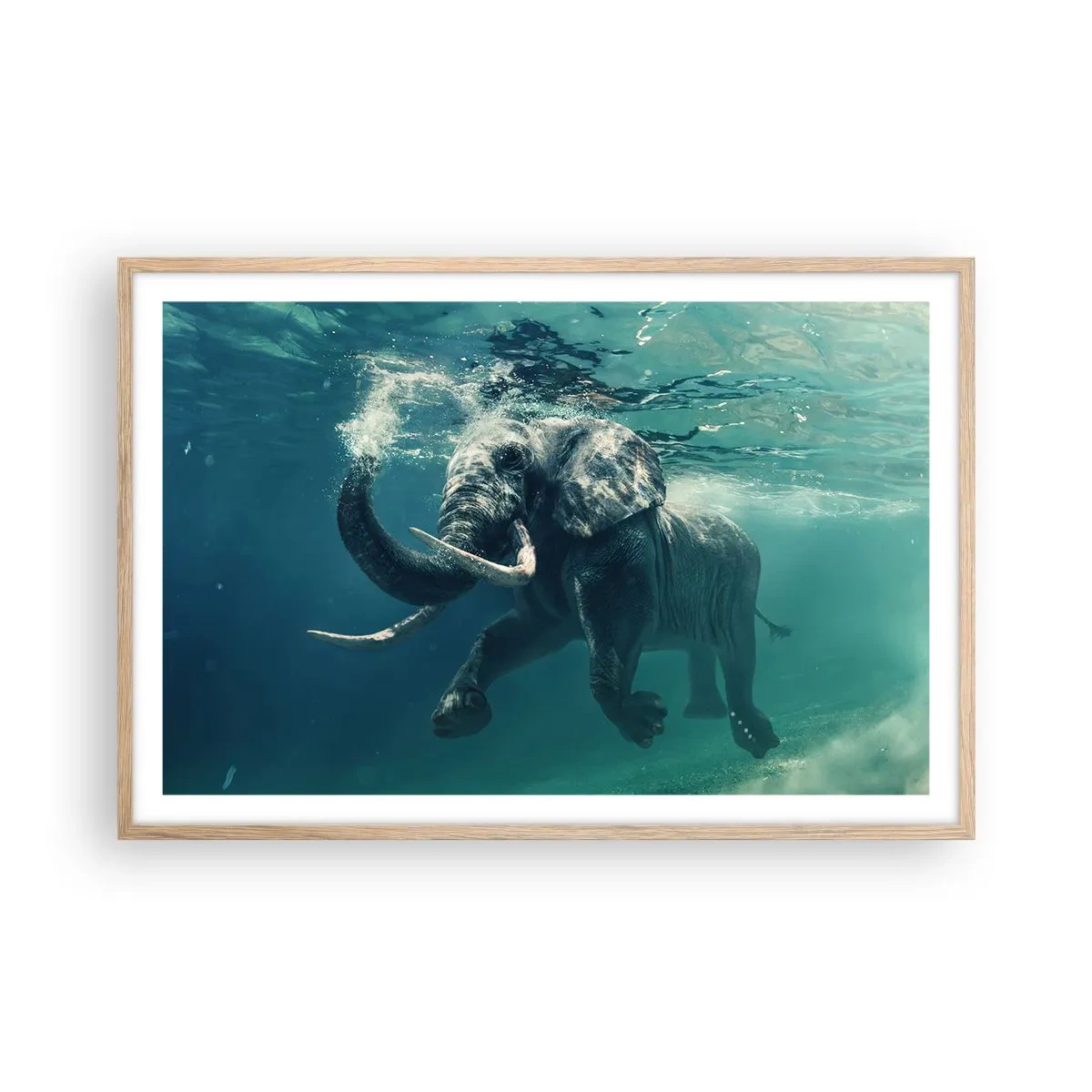 Poster in cornice rovere chiaro - Tutti amano nuotare - 91x61 cm