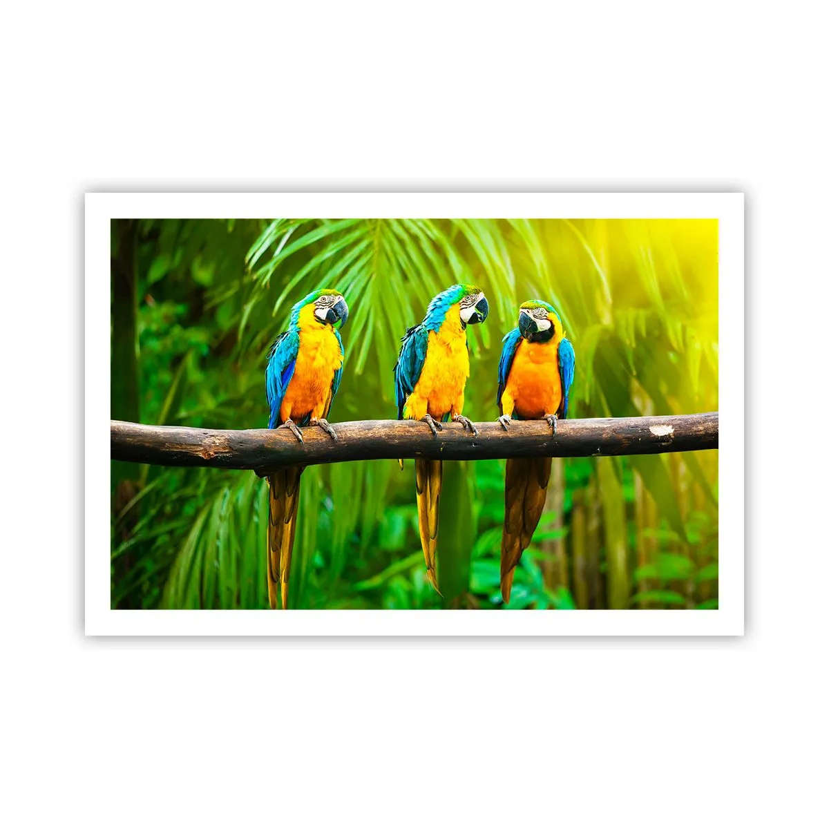 Poster - Hai sentito che ha fatto? - 91x61 cm