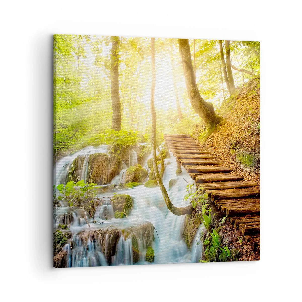 Quadro su tela - Stampe su Tela - Bramata freschezza - 50x50 cm