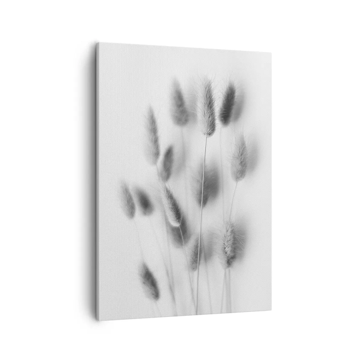 Quadro su tela - Stampe su Tela - Erbe delicate in tonalità di grigio su sfondo bianco - 50x70cm - Erba soffice - Decorazione murale moderna per soggiorno e camera da letto ARTTOR