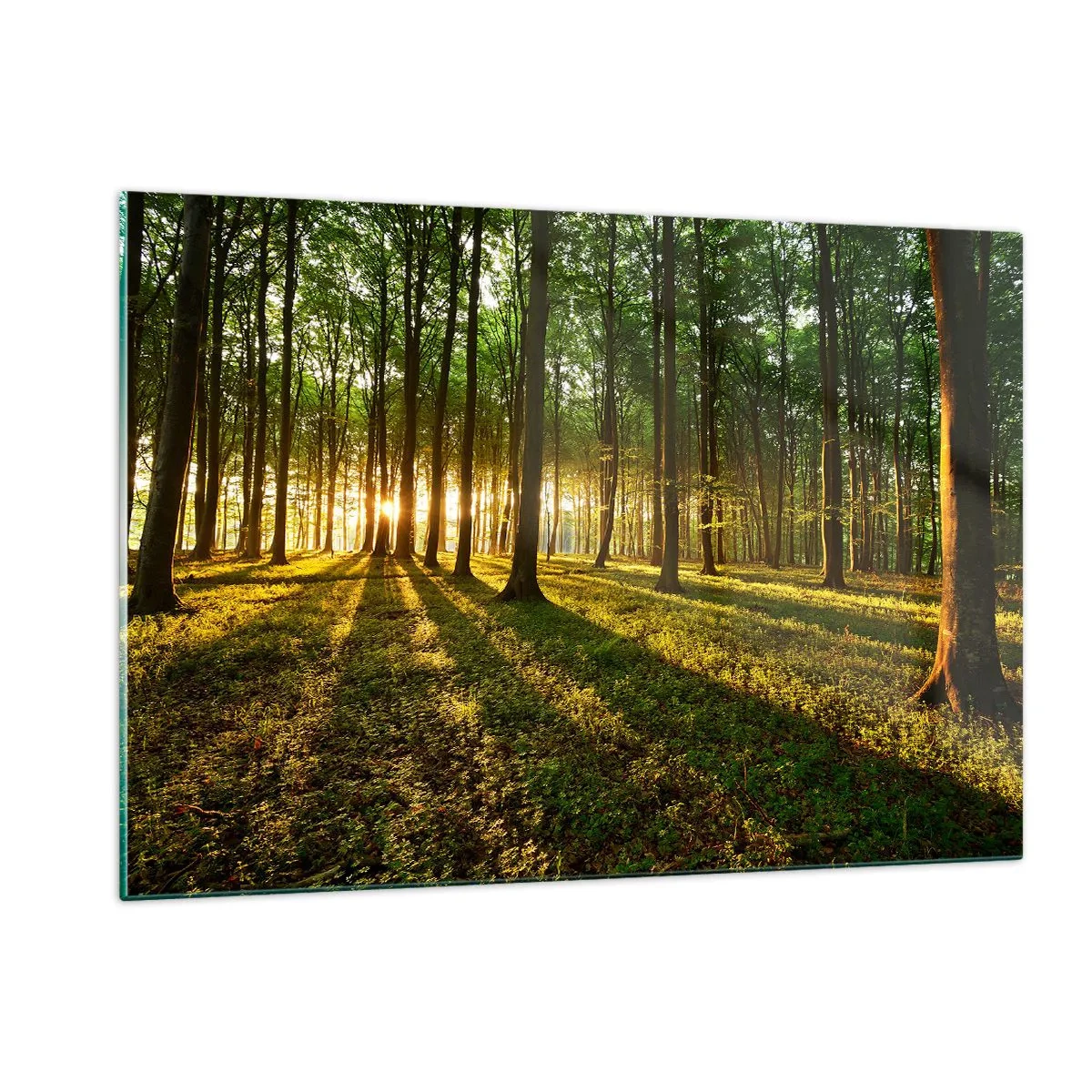Quadro su vetro - Una radura della foresta illuminata dai raggi del sole nascente - 120x80cm - La foto di ogni primavera - Decorazione murale moderna per soggiorno e camera da letto ARTTOR