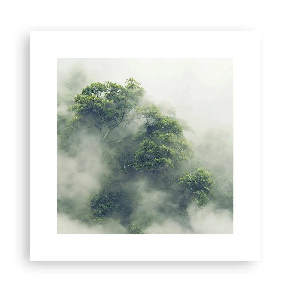 Poster - Avvolti dalla nebbia - 30x30 cm