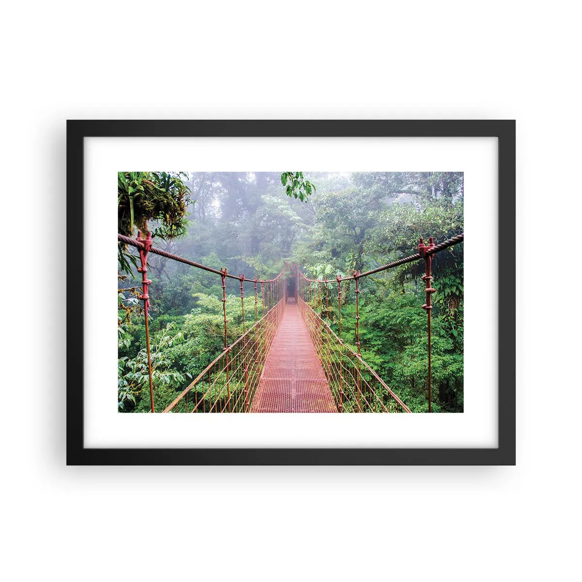 Poster in cornice nera - Sospeso sopra gli alberi - 40x30 cm
