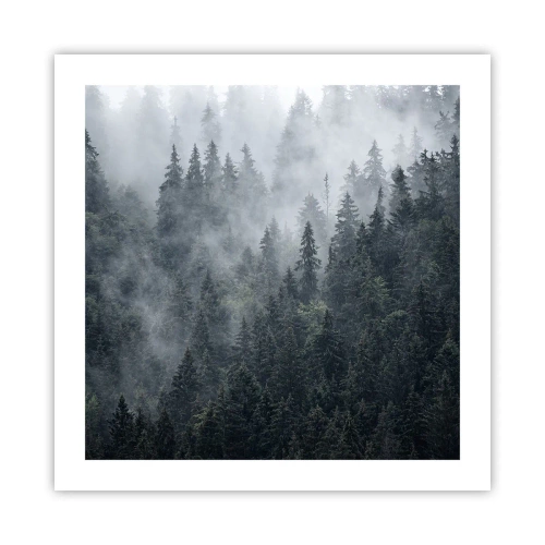 Poster - Alba nel bosco - 50x50 cm