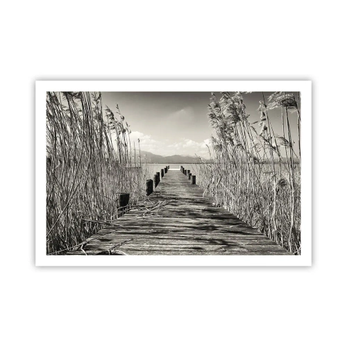 Poster - Nel silenzio dell'erba - 91x61 cm