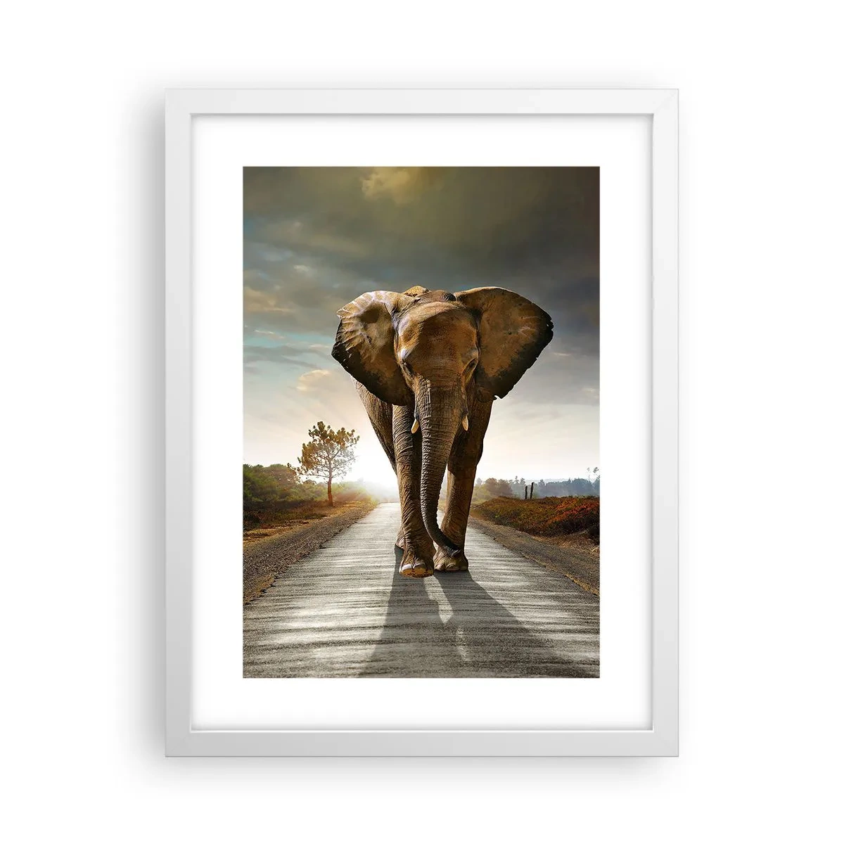 Poster in cornice bianca - E non nel negozio di cristalli - 30x40 cm