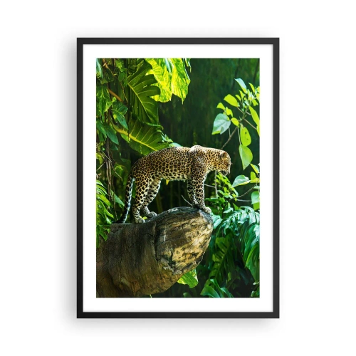 Poster in cornice nera - Un leopardo in piedi su una roccia in una foresta tropicale - 50x70cm - A caccia? - Decorazione murale moderna per soggiorno e camera da letto ARTTOR