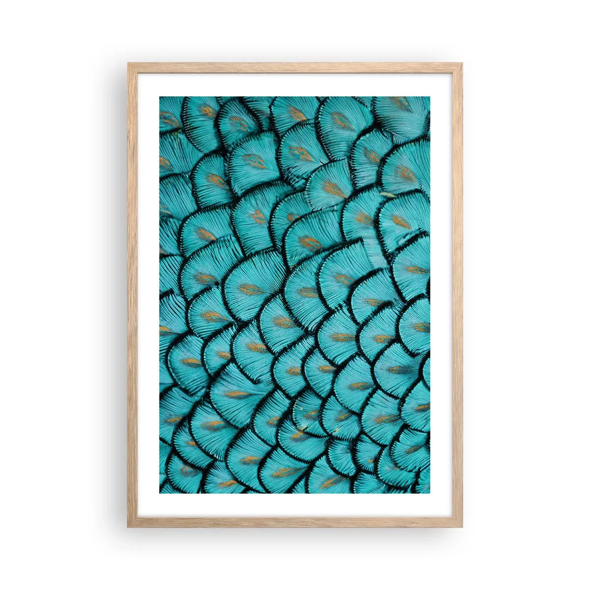 Poster in cornice rovere chiaro - La grande festa delle piume - 50x70 cm