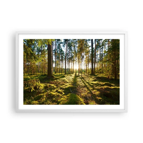 Poster in cornice bianca - …dopo sette foreste - 70x50 cm