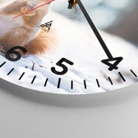 Quadrante con numeri