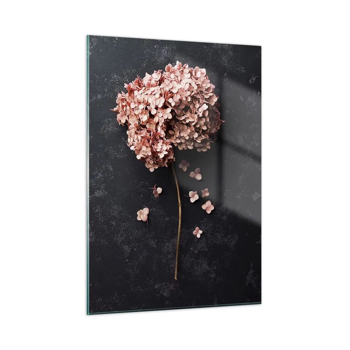 Quadro su vetro - Ortensia secca con petali sparsi su sfondo scuro - 50x70cm - Un vero segno romantico - Decorazione murale moderna per soggiorno e camera da letto ARTTOR